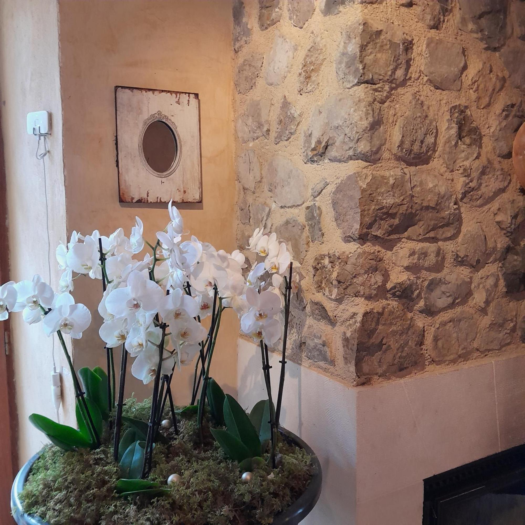 Chambre D'Hotes La Romarine バルナーヴ エクステリア 写真